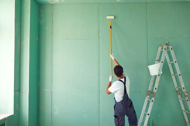 Mold Odor Removal Services in Leesburg, FL