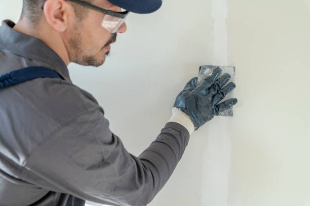 Best Mold Prevention Services  in Leesburg, FL