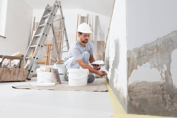 Best Mold-Related Health Consultation  in Leesburg, FL
