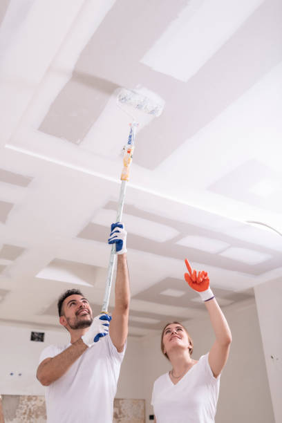 Best Environmental Consulting for Mold Prevention  in Leesburg, FL