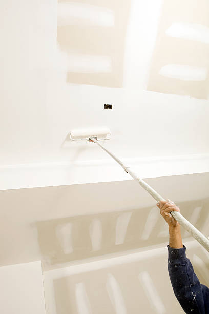 Trusted Leesburg, FL Mold Removal Experts