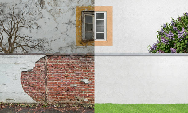 Best Air Quality Testing for Mold Spores  in Leesburg, FL