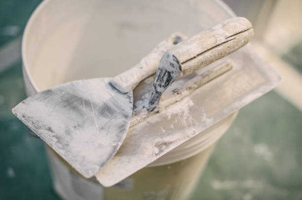 Best Mold Odor Removal Services  in Leesburg, FL